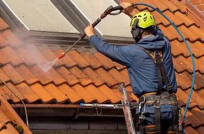 Démoussage et hydrofuge de toiture à Dargoire